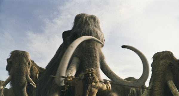 10.000 BC (DVD) – Bild 5– JETZT KAUFEN BEI GLACIER GAMES .at