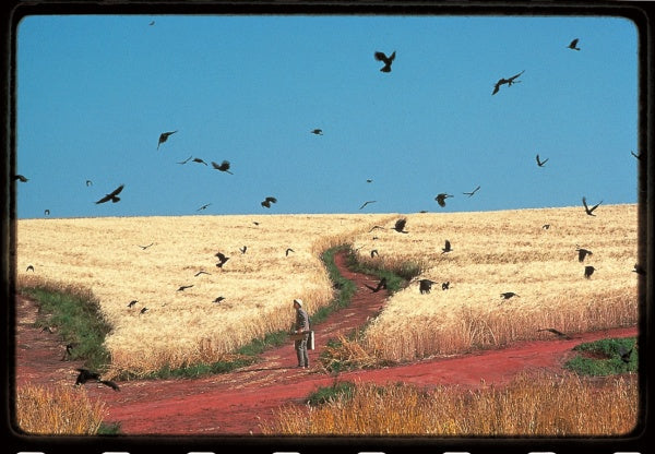 Akira Kurosawas Träume (Blu-ray) – Bild 2– JETZT KAUFEN BEI GLACIER GAMES .at