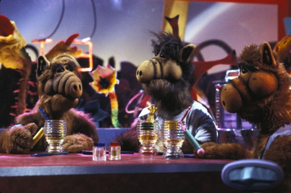 ALF: Die komplette 1. Staffel (DVD) – Bild 3– JETZT KAUFEN BEI GLACIER GAMES .at