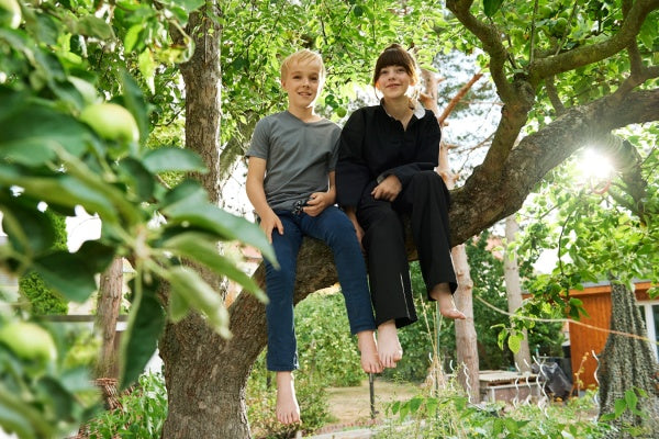 Alfons Zitterbacke: Das Chaos ist zurück (DVD) – Bild 2– JETZT KAUFEN BEI GLACIER GAMES .at