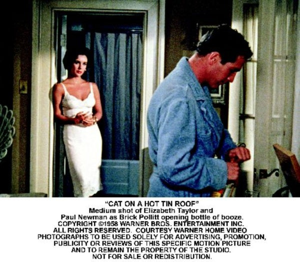 Die Katze auf dem heißen Blechdach Deluxe Edition (DVD) – Bild 3– JETZT KAUFEN BEI GLACIER GAMES .at