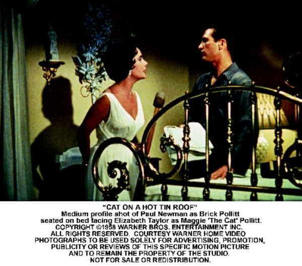 Die Katze auf dem heißen Blechdach Deluxe Edition (DVD) – Bild 2– JETZT KAUFEN BEI GLACIER GAMES .at