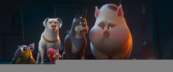 DC League of Super-Pets (Blu-ray) – Bild 2– JETZT KAUFEN BEI GLACIER GAMES .at