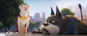 DC League of Super-Pets (DVD) – Bild 6– JETZT KAUFEN BEI GLACIER GAMES .at