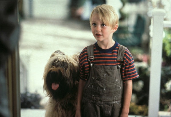 Dennis (DVD)