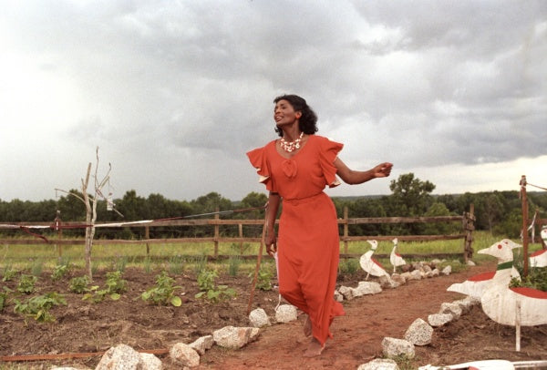 Die Farbe Lila (4K UHD) – Bild 2– JETZT KAUFEN BEI GLACIER GAMES .at