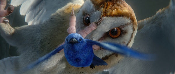 Die Legende der Wächter (DVD) – Bild 3– JETZT KAUFEN BEI GLACIER GAMES .at