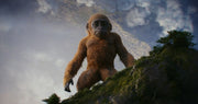 Godzilla x Kong: The New Empire (DVD) – Bild 4– JETZT KAUFEN BEI GLACIER GAMES .at