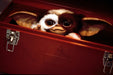 Gremlins 1: Kleine Monster (4K UHD) – Bild 4– JETZT KAUFEN BEI GLACIER GAMES .at