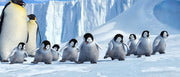 Happy Feet (DVD) – Bild 6– JETZT KAUFEN BEI GLACIER GAMES .at