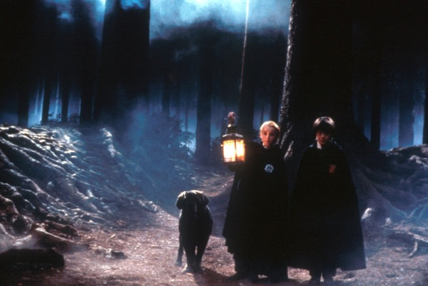 Harry Potter und der Stein der Weisen + Magical Movie Modus (Blu-ray) – Bild 2– JETZT KAUFEN BEI GLACIER GAMES .at