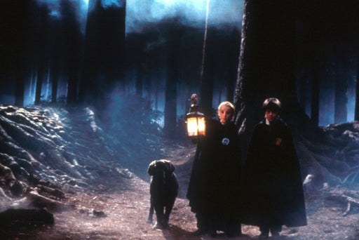 Harry Potter und der Stein der Weisen + Magical Movie Modus (DVD) – Bild 2– JETZT KAUFEN BEI GLACIER GAMES .at