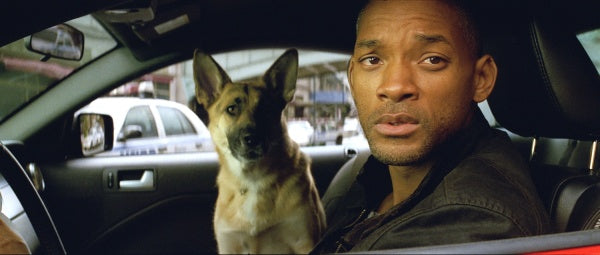 I Am Legend (4K UHD) – Bild 4– JETZT KAUFEN BEI GLACIER GAMES .at