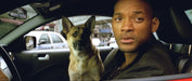 I Am Legend (Blu-ray) – Bild 4– JETZT KAUFEN BEI GLACIER GAMES .at
