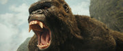 Kong: Skull Island (4K UHD) – Bild 6– JETZT KAUFEN BEI GLACIER GAMES .at