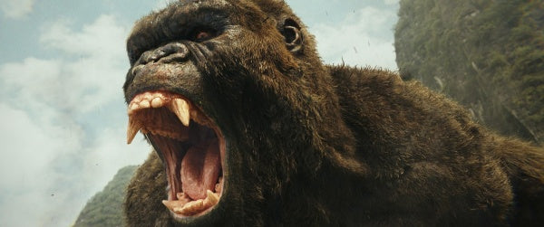 Kong: Skull Island (DVD) – Bild 6– JETZT KAUFEN BEI GLACIER GAMES .at