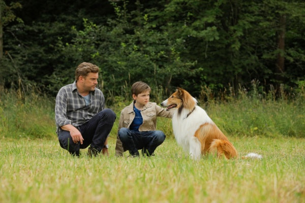 Lassie: Eine abenteuerliche Reise (DVD) – Bild 5– JETZT KAUFEN BEI GLACIER GAMES .at