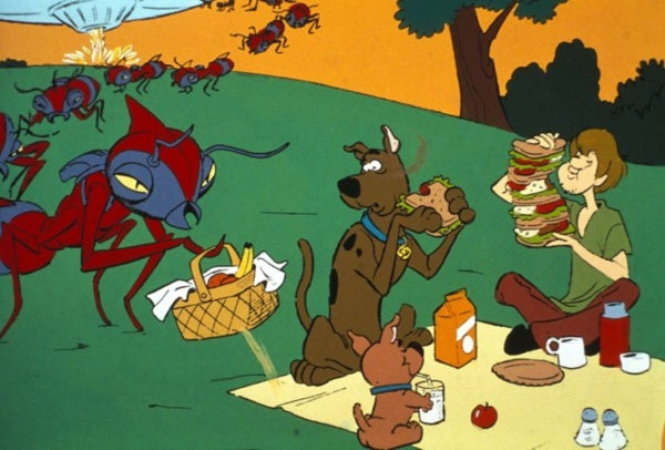 Scooby Doo! und Scrappy Doo!: Die komplette 1. Staffel (DVD)
