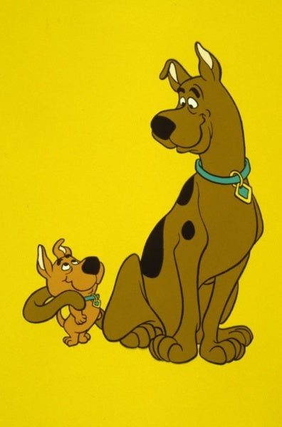 Scooby Doo! und Scrappy Doo!: Die komplette 1. Staffel (DVD)