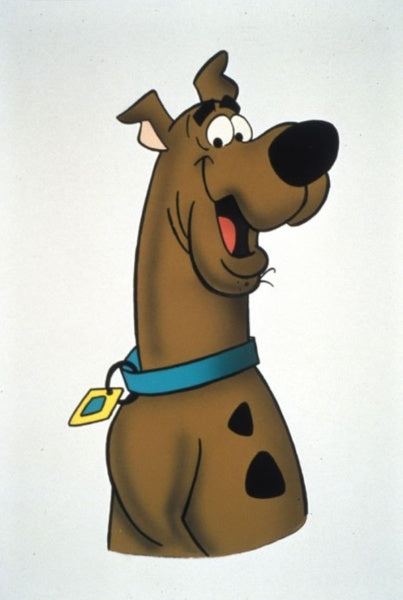Scooby Doo! und Scrappy Doo!: Die komplette 1. Staffel (DVD)