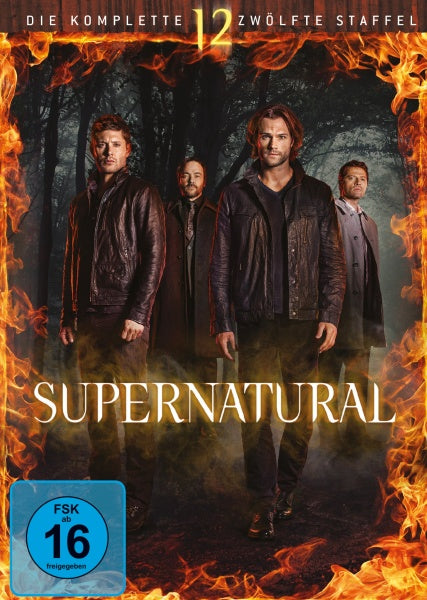 Supernatural: Die komplette 12. Staffel (DVD)– JETZT KAUFEN BEI GLACIER GAMES .at