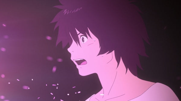 Der Junge und das Biest (DVD) – Bild 2– JETZT KAUFEN BEI GLACIER GAMES .at