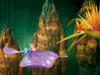 Barbie: Fairytopia (DVD) – Bild 5– JETZT KAUFEN BEI GLACIER GAMES .at