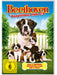Beethoven - Komplettbox Film 1-8 (DVD)– JETZT KAUFEN BEI GLACIER GAMES .at