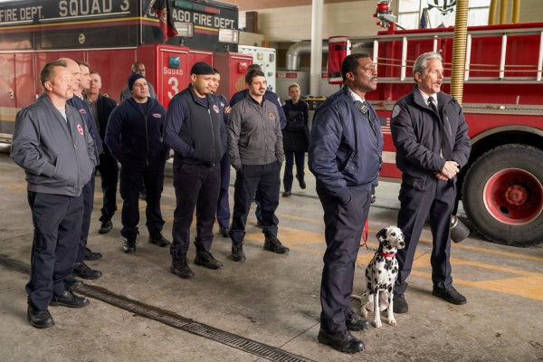 Chicago Fire: Staffel 7 (DVD) – Bild 2– JETZT KAUFEN BEI GLACIER GAMES .at