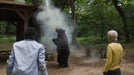 Cocaine Bear (DVD) – Bild 5– JETZT KAUFEN BEI GLACIER GAMES .at