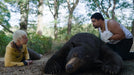 Cocaine Bear (DVD) – Bild 2– JETZT KAUFEN BEI GLACIER GAMES .at