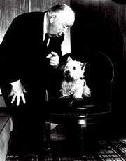 Das Fenster zum Hof - Alfred Hitchcock Collection (DVD) – Bild 4– JETZT KAUFEN BEI GLACIER GAMES .at
