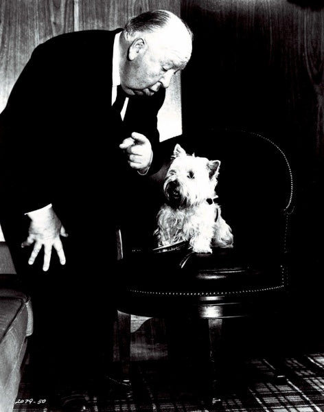 Das Fenster zum Hof - Alfred Hitchcock Collection (DVD) – Bild 4– JETZT KAUFEN BEI GLACIER GAMES .at