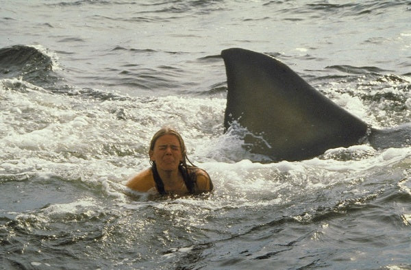 Der weiße Hai 2 (4K-UHD) – Bild 3– JETZT KAUFEN BEI GLACIER GAMES .at