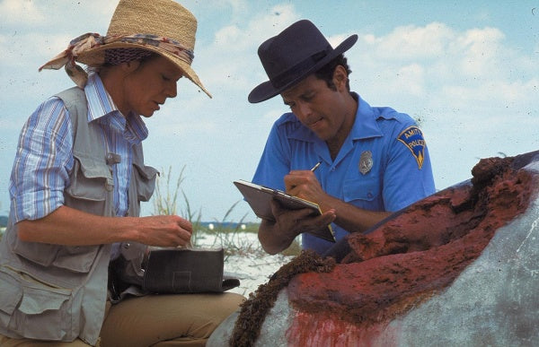 Der weiße Hai 2 (4K-UHD) – Bild 2– JETZT KAUFEN BEI GLACIER GAMES .at