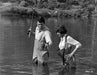 Ein Goldfisch an der Leine (Blu-ray) – Bild 3– JETZT KAUFEN BEI GLACIER GAMES .at