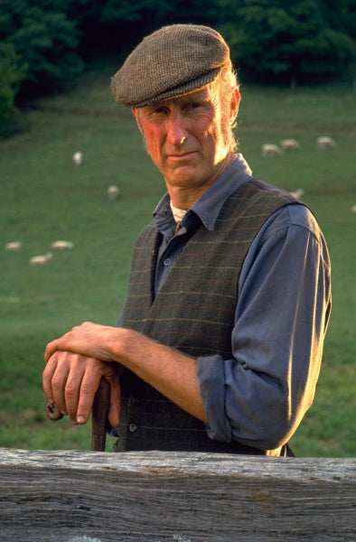 Ein Schweinchen namens Babe (Blu-ray) – Bild 5– JETZT KAUFEN BEI GLACIER GAMES .at