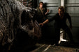 Jurassic World: Das gefallene Königreich (DVD) – Bild 2– JETZT KAUFEN BEI GLACIER GAMES .at