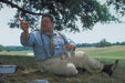 O Brother, Where Art Thou? - Eine Mississippi-Odyssee (DVD) – Bild 4– JETZT KAUFEN BEI GLACIER GAMES .at