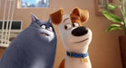 Doppelpack: Pets 1&Pets 2 (DVD) – Bild 4– JETZT KAUFEN BEI GLACIER GAMES .at