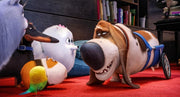 Pets (DVD) – Bild 4– JETZT KAUFEN BEI GLACIER GAMES .at