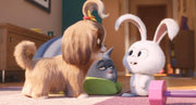 Pets 2 (Blu-ray) – Bild 5– JETZT KAUFEN BEI GLACIER GAMES .at