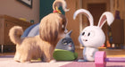 Pets 2 (Blu-ray) – Bild 5– JETZT KAUFEN BEI GLACIER GAMES .at