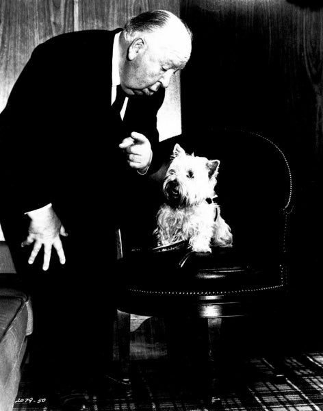 Psycho - Alfred Hitchcock Collection (DVD) – Bild 2– JETZT KAUFEN BEI GLACIER GAMES .at