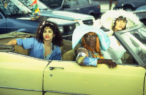 To Wong Foo, Thanks for Everything! Julie Newmar (Blu-ray) – Bild 2– JETZT KAUFEN BEI GLACIER GAMES .at
