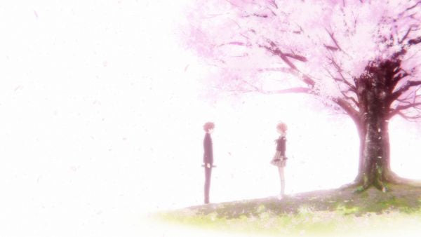 Bloom Into You - Die komplette Serie (3 Blu-rays)