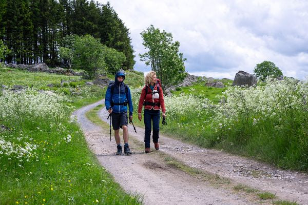 Die Camino-Therapie - Finde deinen Weg (Blu-ray + DVD)