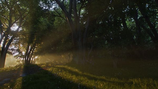 Fable (PS5)