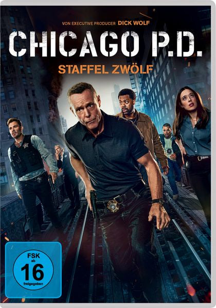 Chicago P.D.: Staffel 12 (5 DVDs)