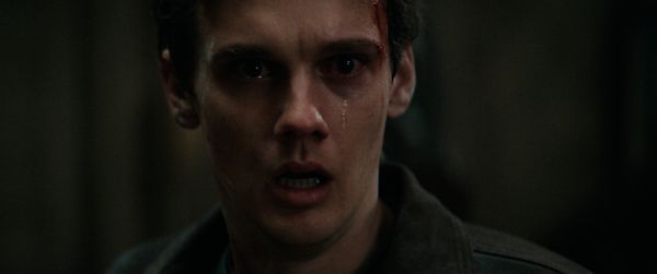 Evil Dead Burn (Blu-ray)